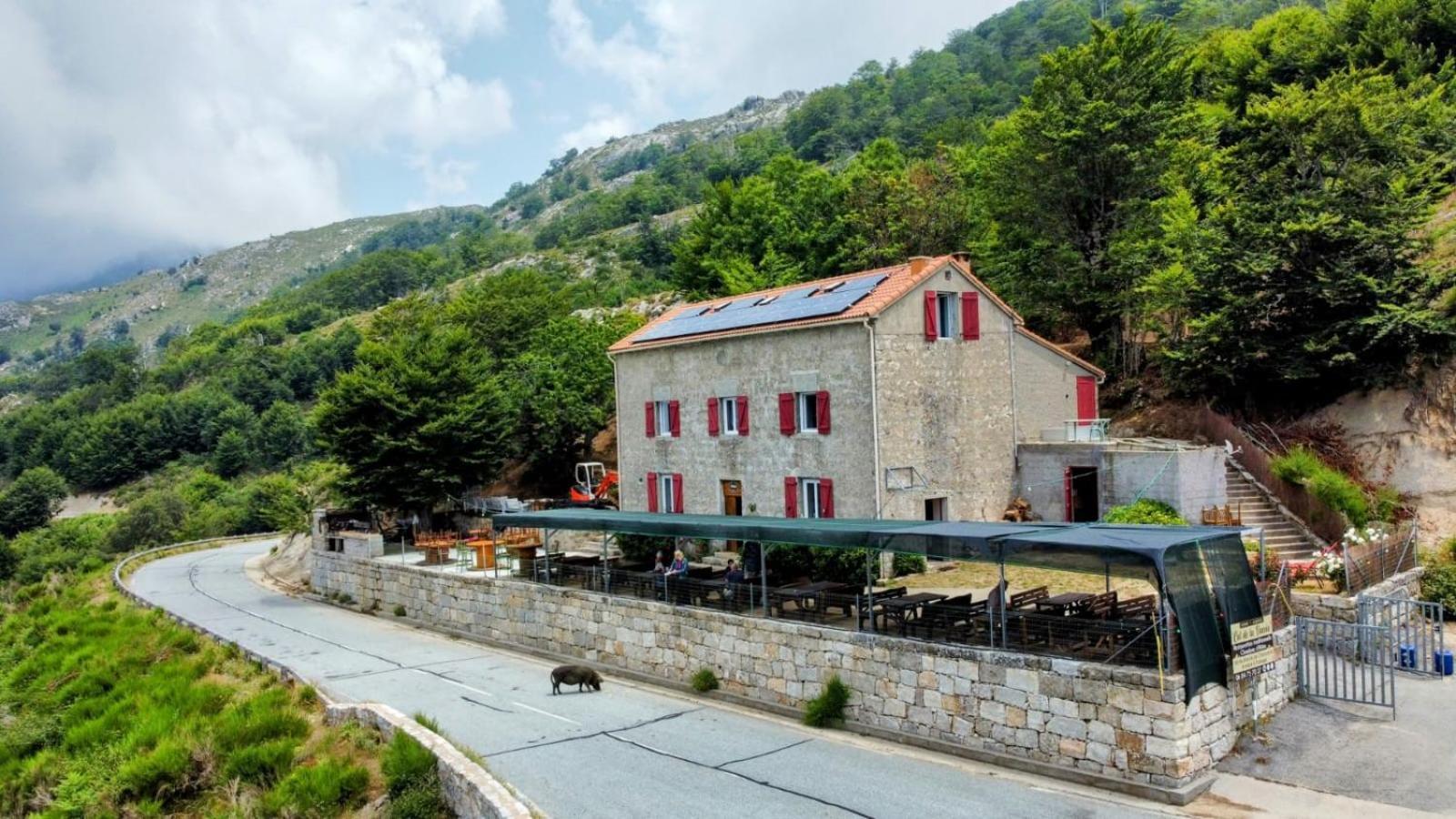Ferme Auberge Du Col De La Vaccia Olivese Exterior foto